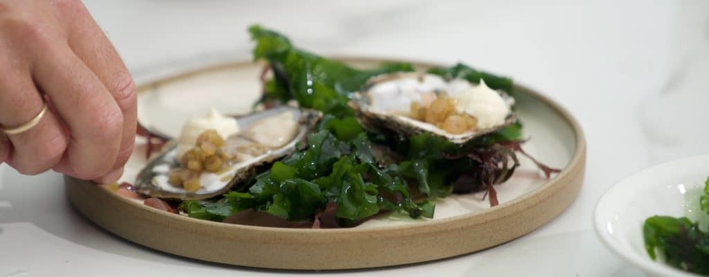Falmouth Oyster Festival